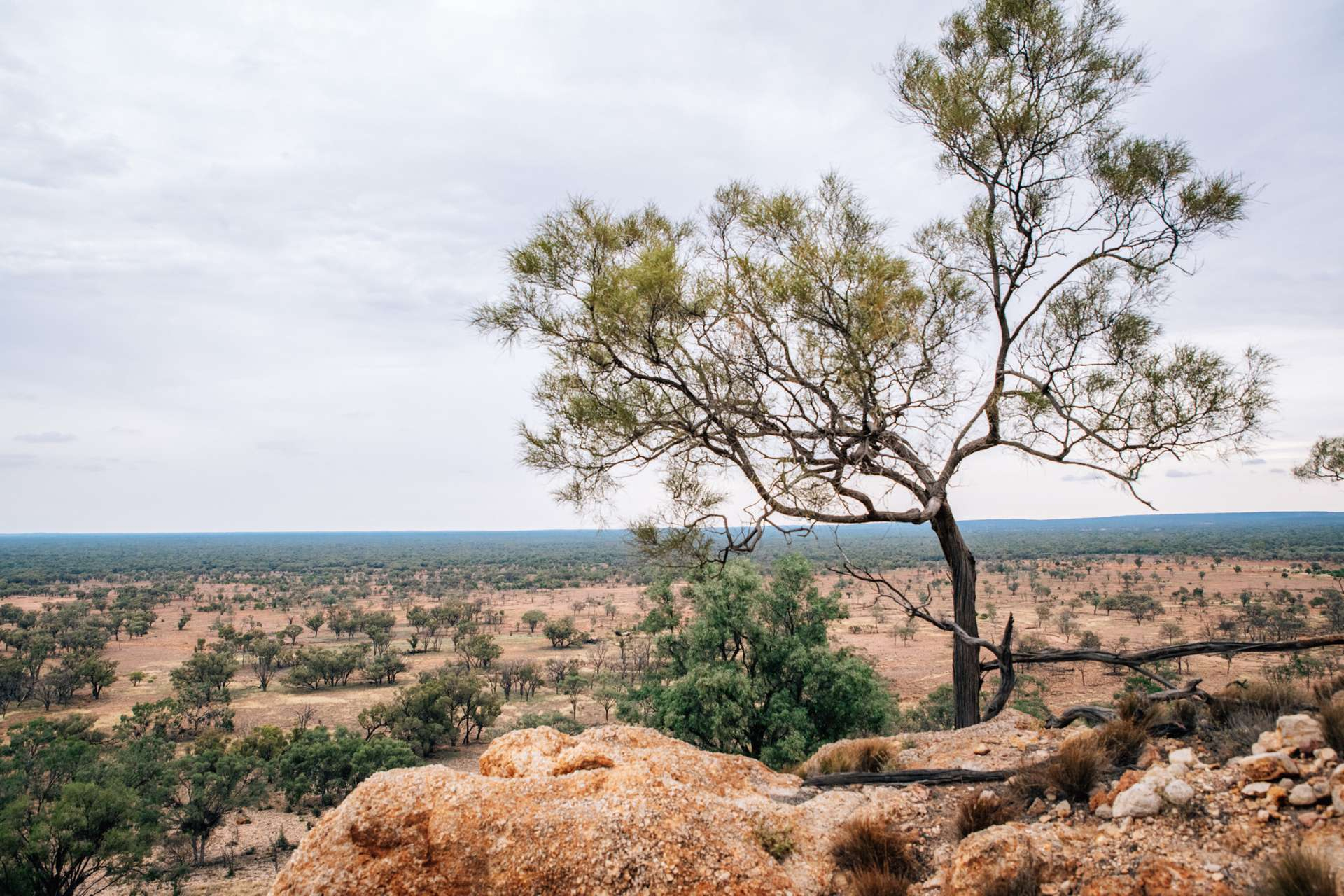 Carbon and cattle property for sale QLD