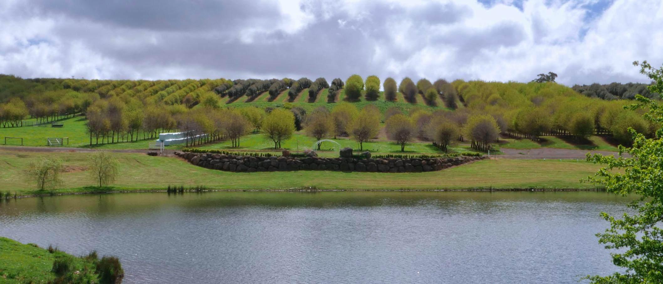 farms for sale tasmania