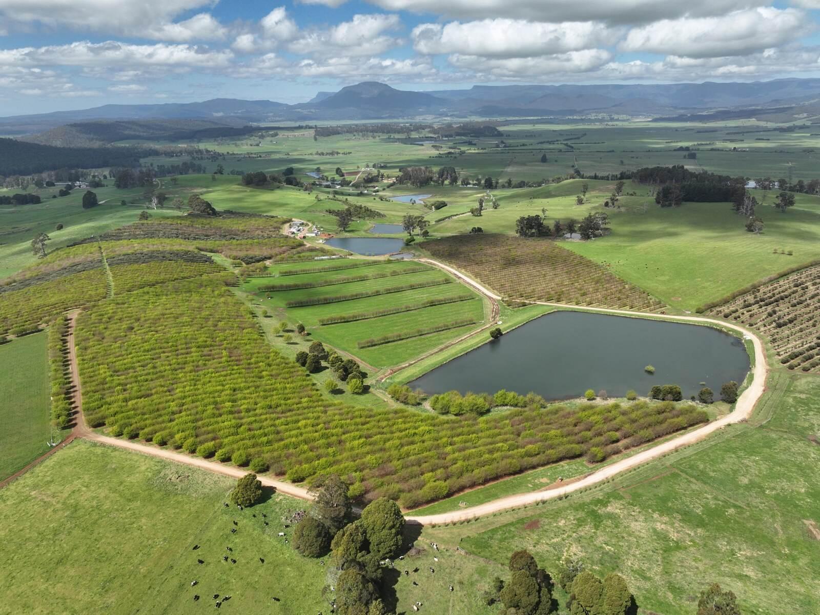 farms for sale tasmania