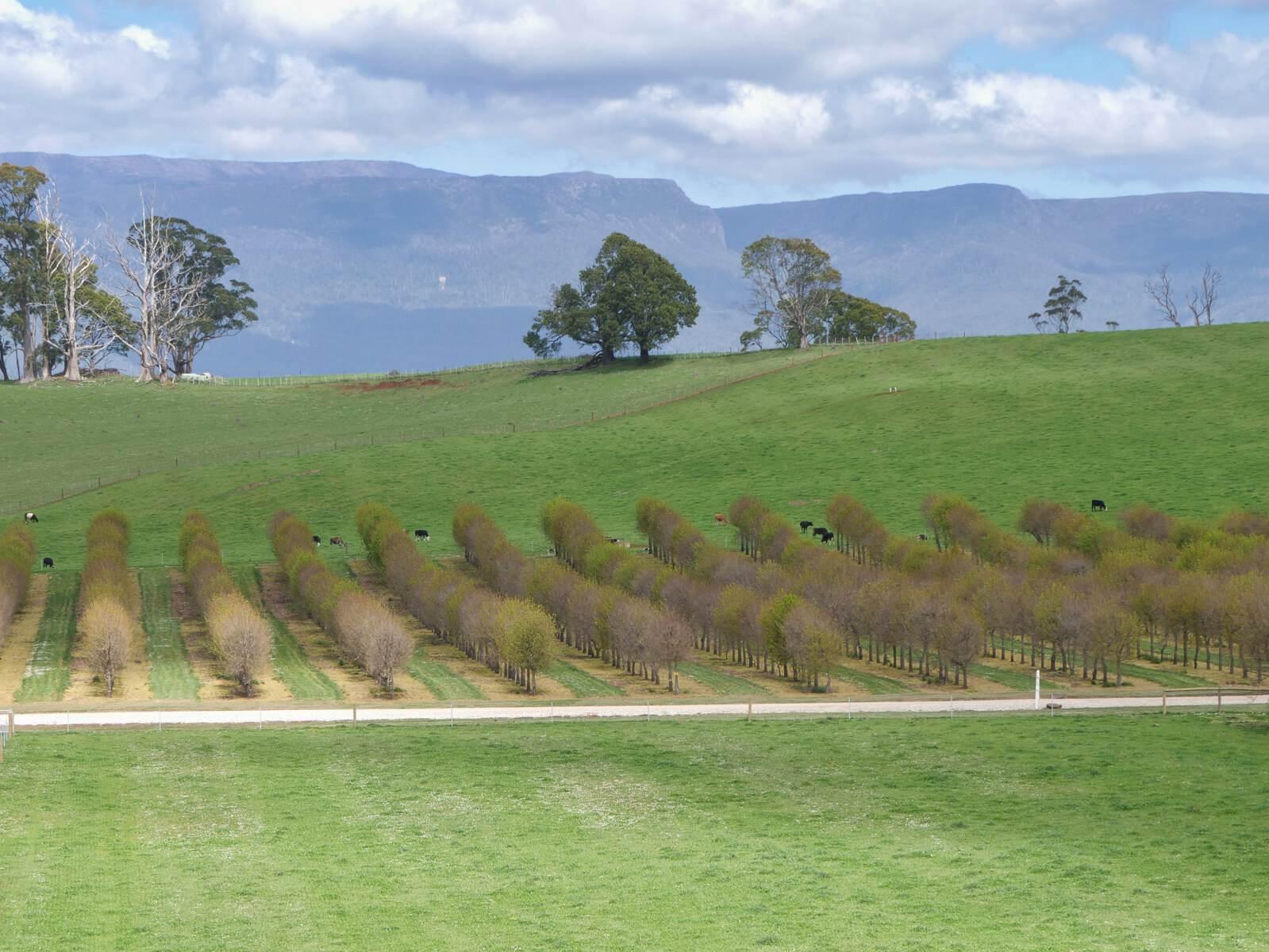 farms for sale tasmania