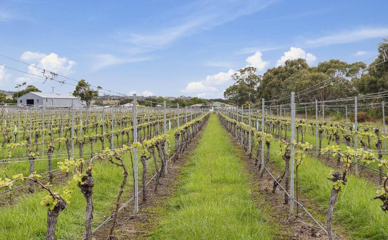 farms for sale tasmania