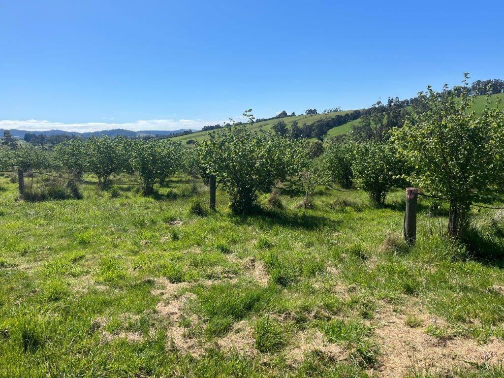 farms for sale tasmania