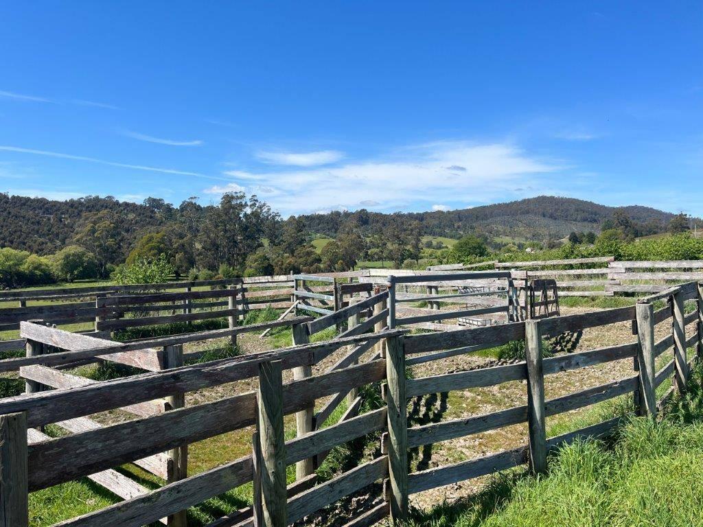 farms for sale tasmania