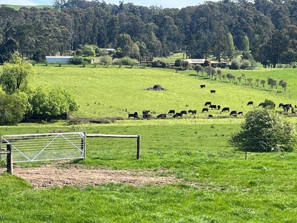 farms for sale tasmania