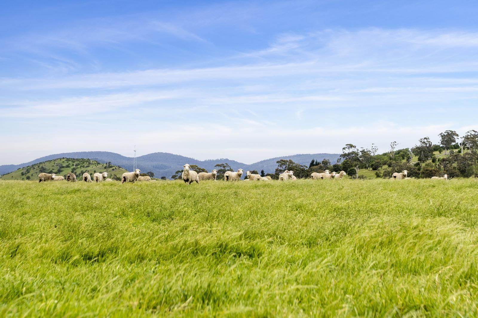 farms for sale tasmania