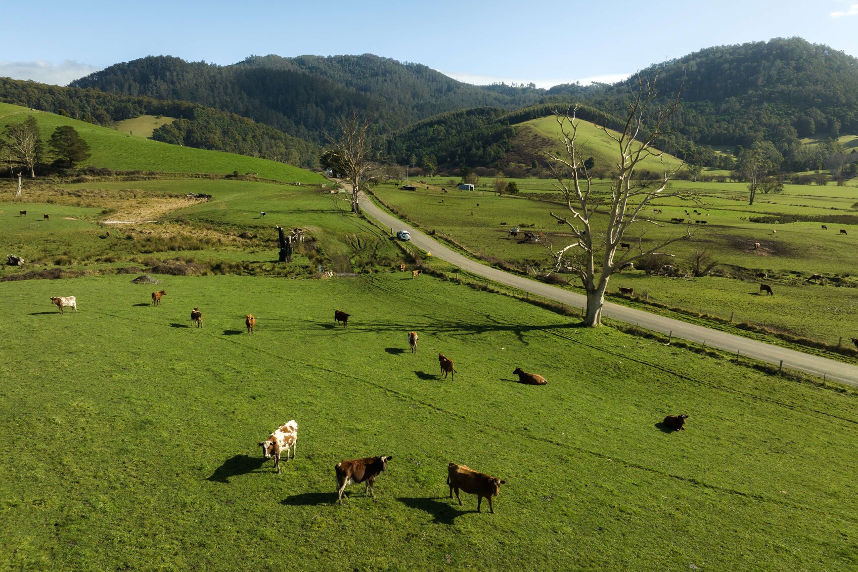 farms for sale tasmania