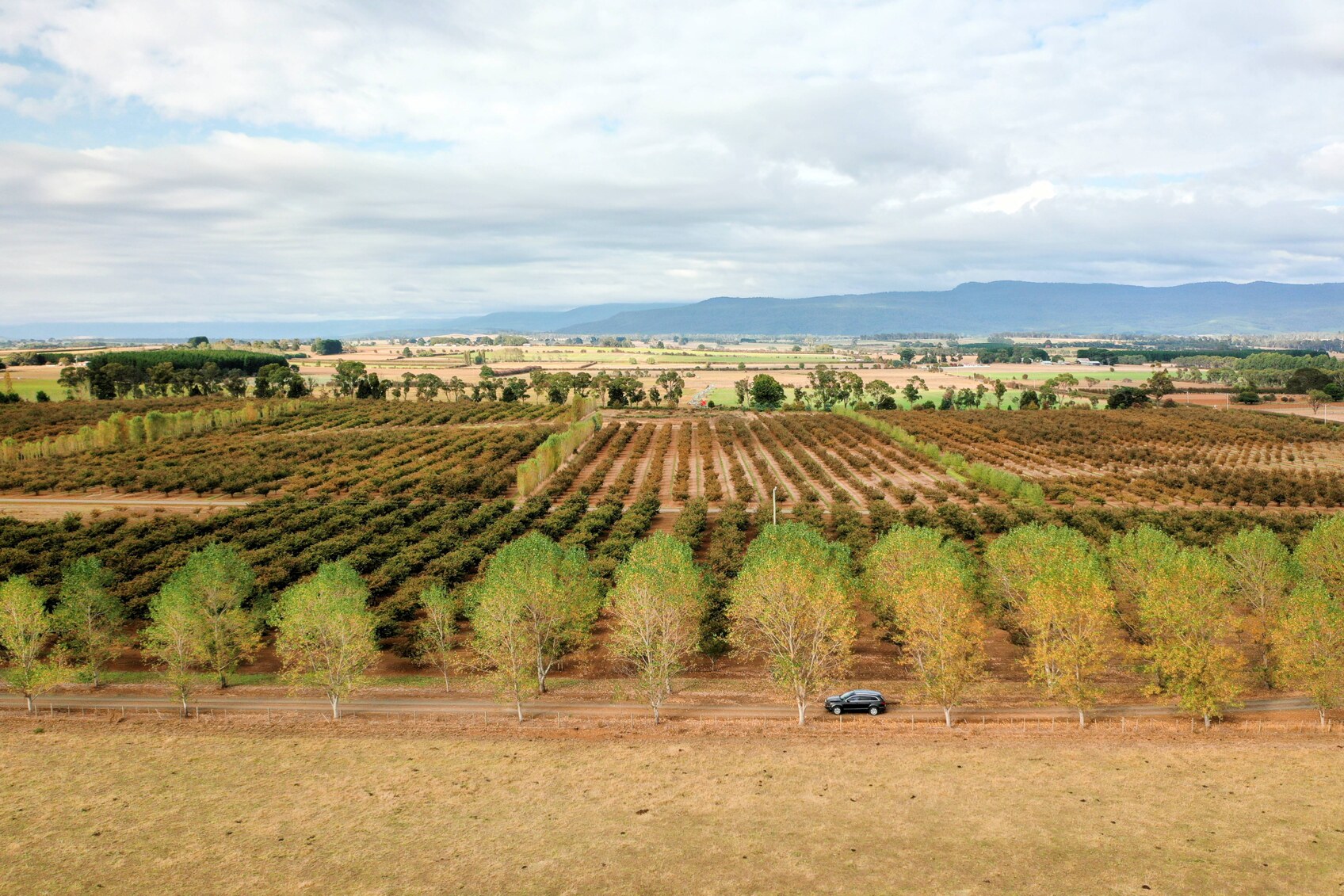 farms for sale tasmania