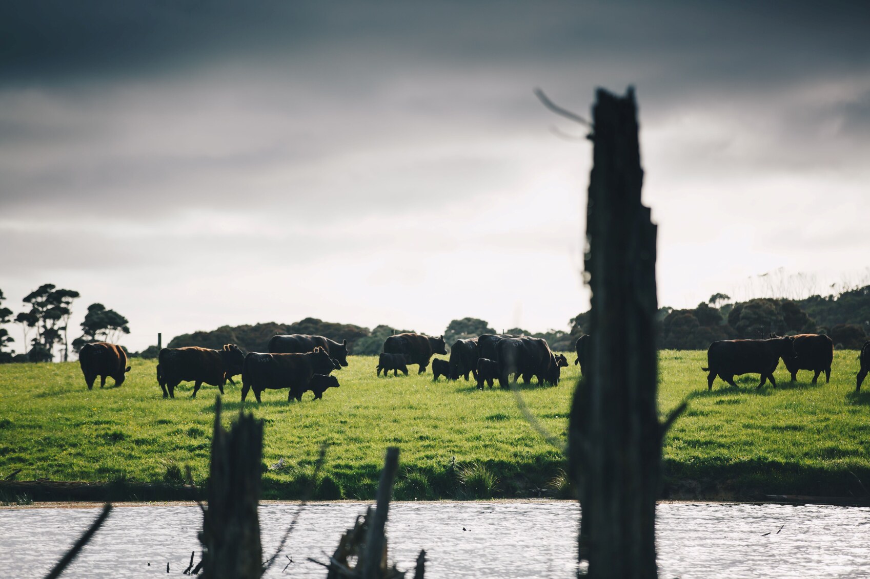 farms for sale tasmania