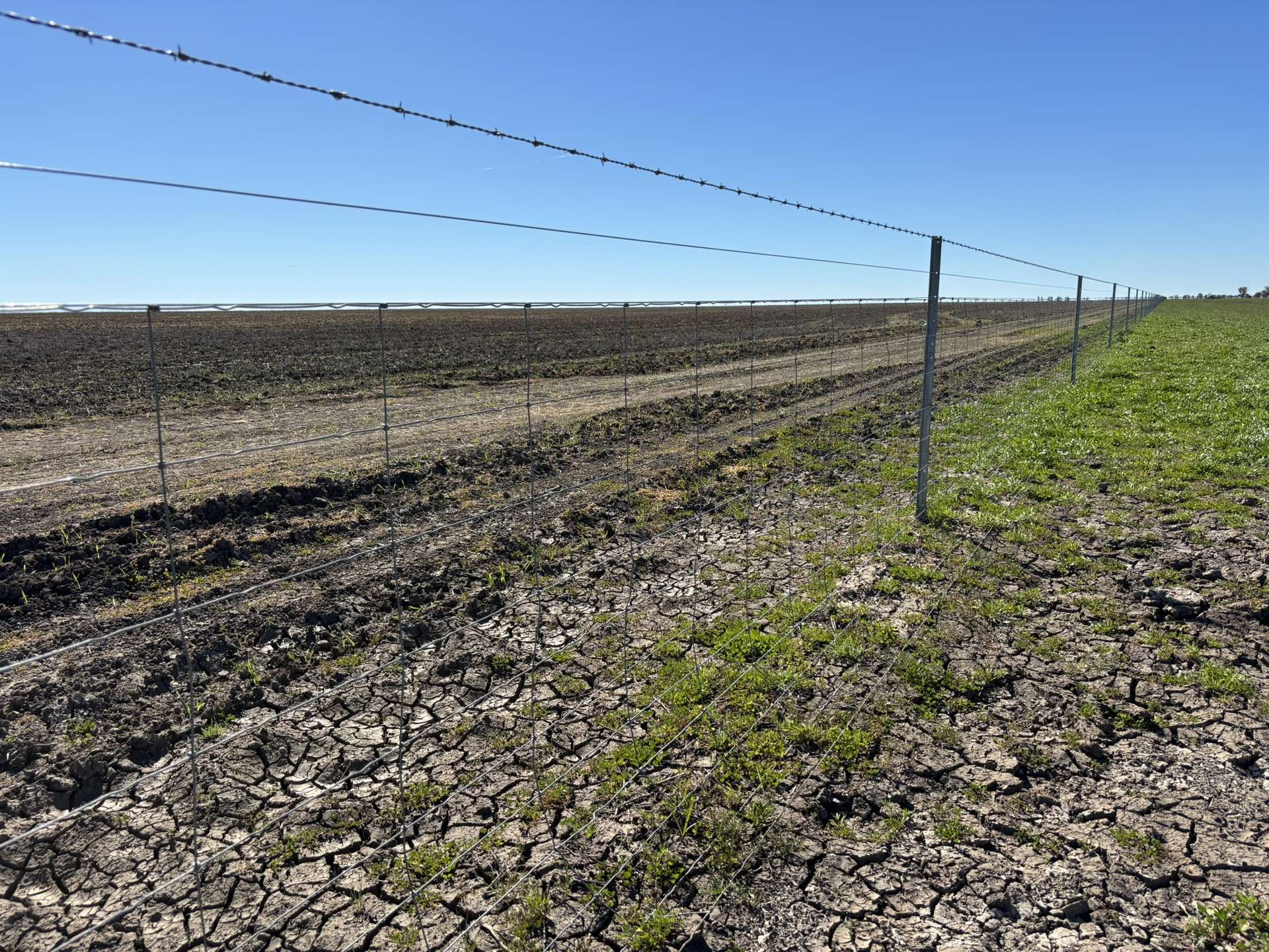 mixed farm for sale NSW