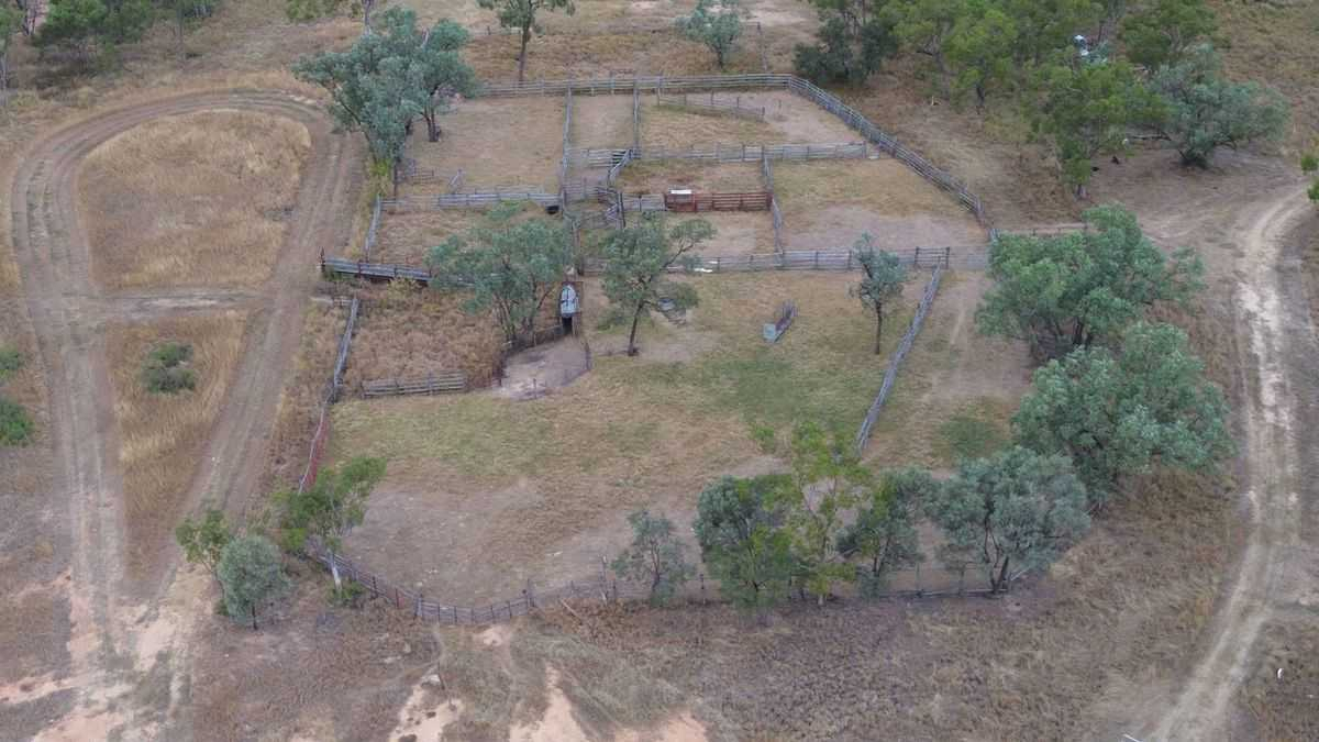 cattle property for sale QLD 