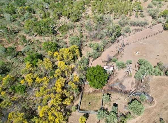 Cattle Station For Sale QLD