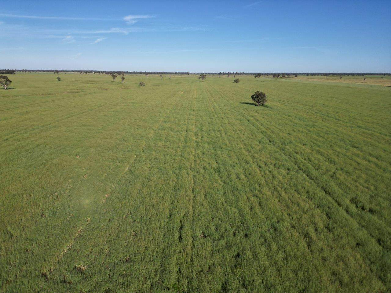 farm for sale NSW