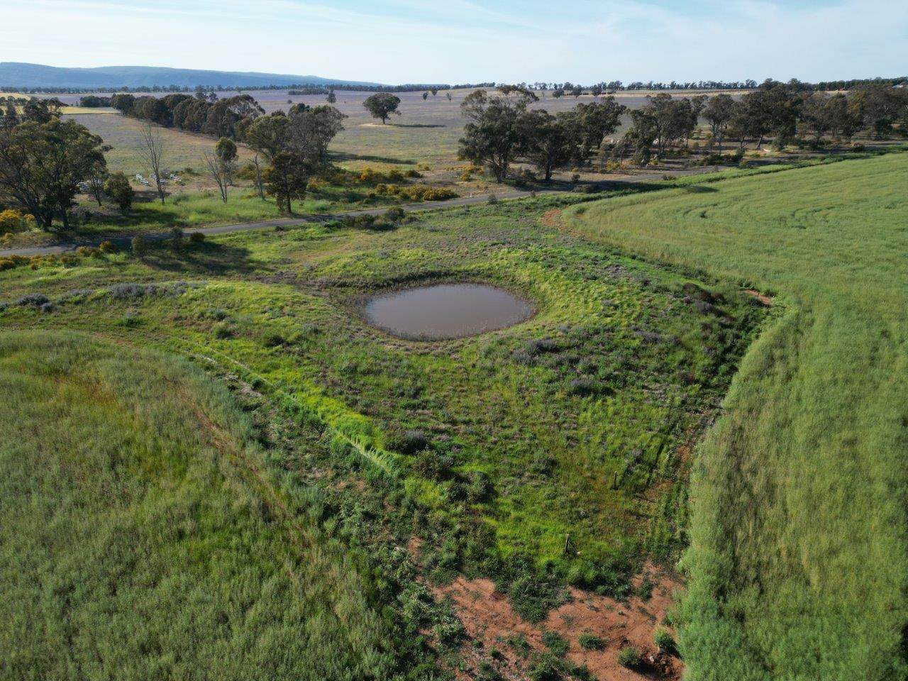 farm for sale NSW