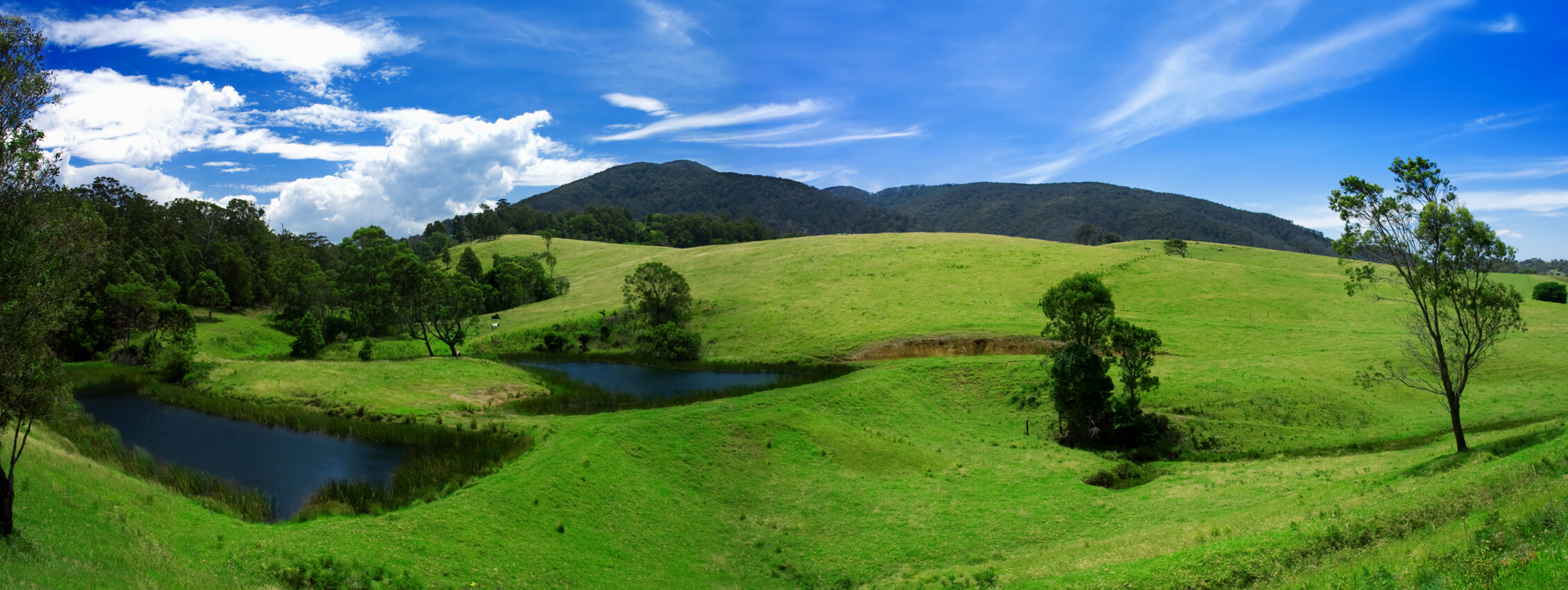 Hobby Farms For Sale Australia