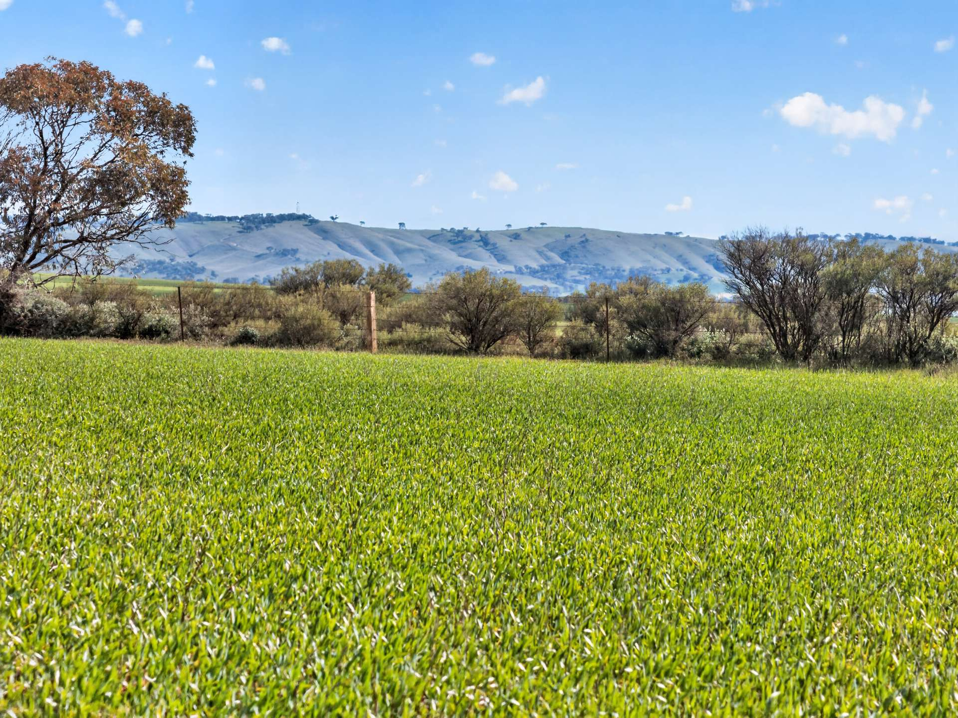 Mixed Farm For Sale SA