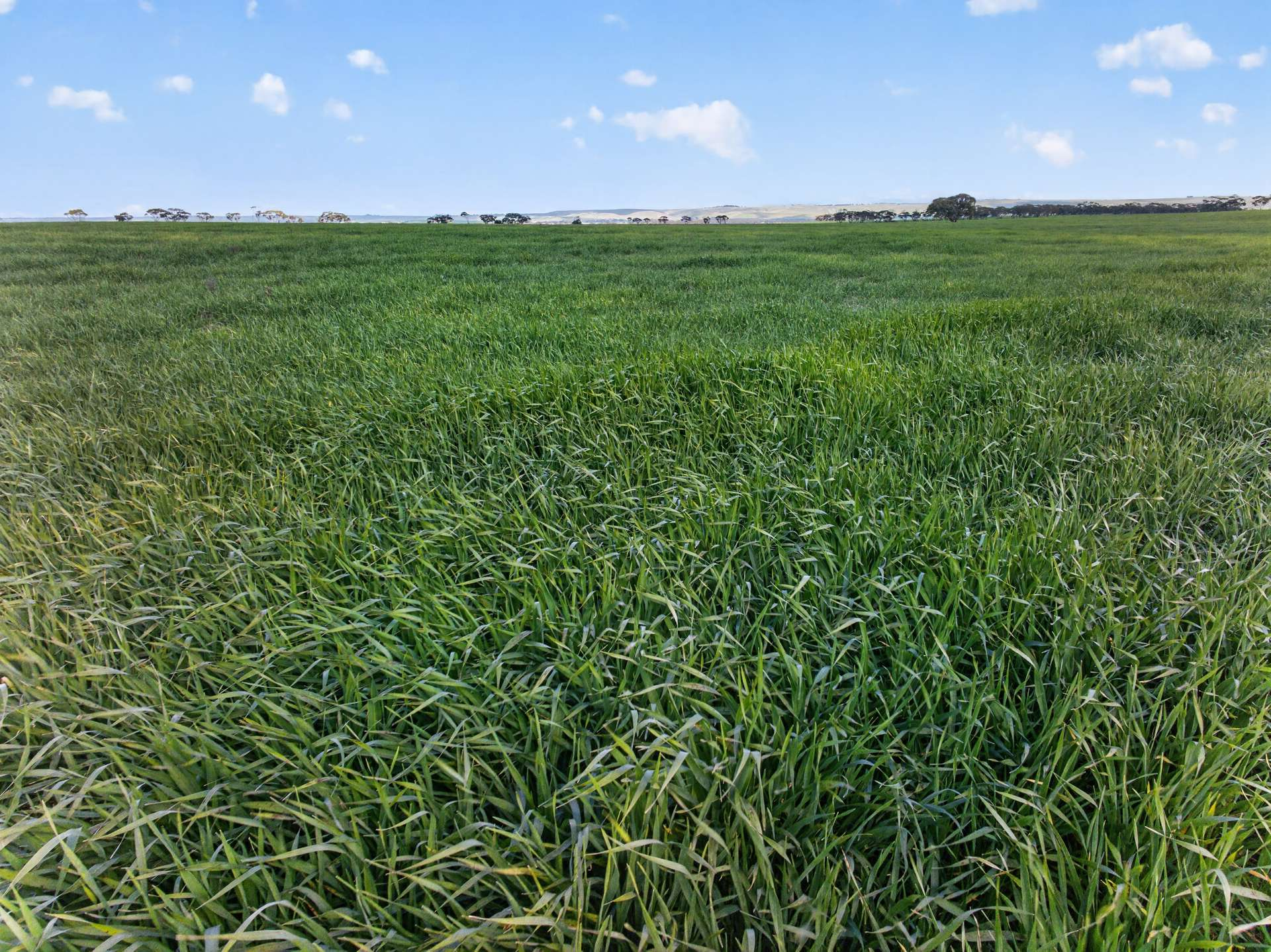 Mixed Farm For Sale SA