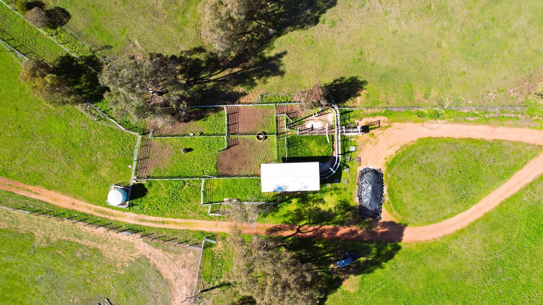 Farm For Sale WA