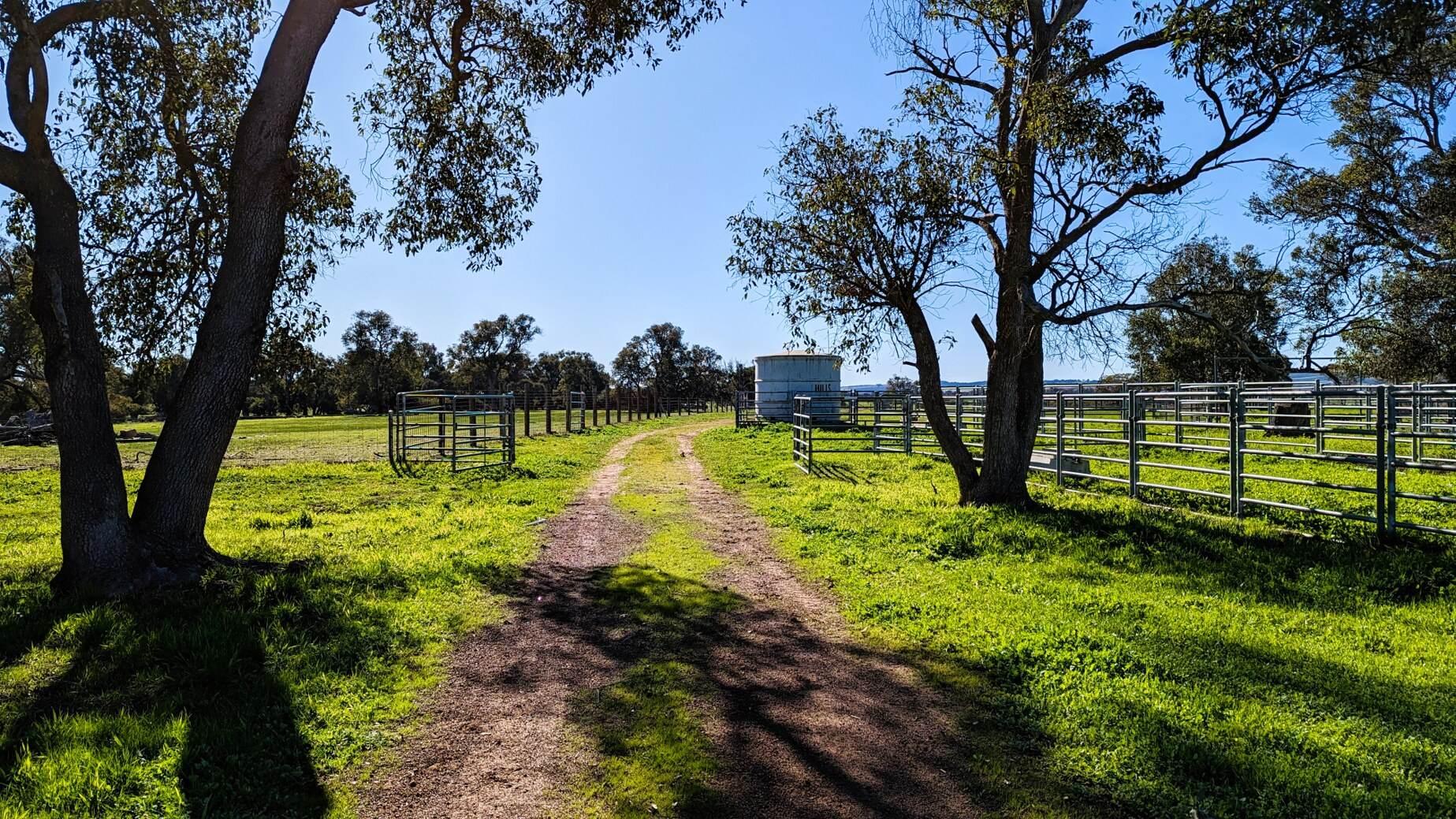 Farm For Sale WA