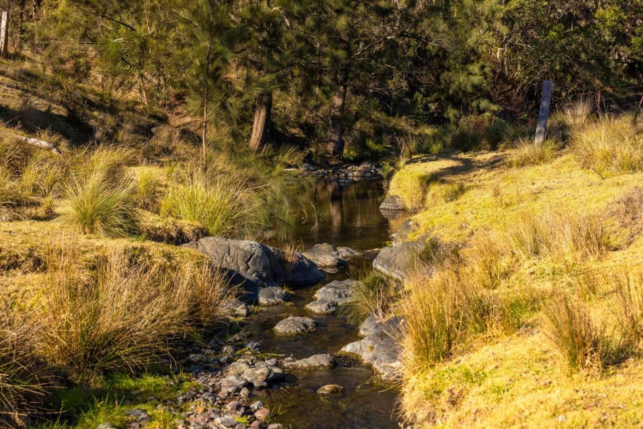 Cattle Property For Sale Mid North Coast NSW