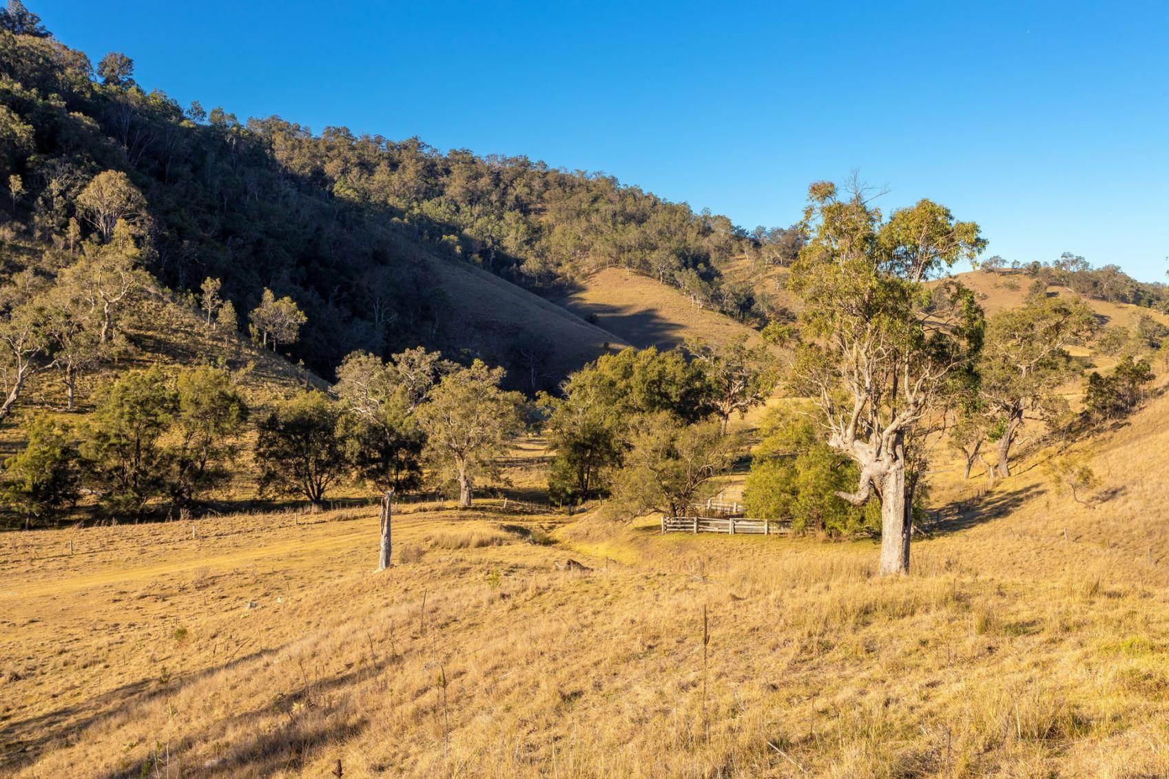 Cattle Property For Sale Mid North Coast NSW