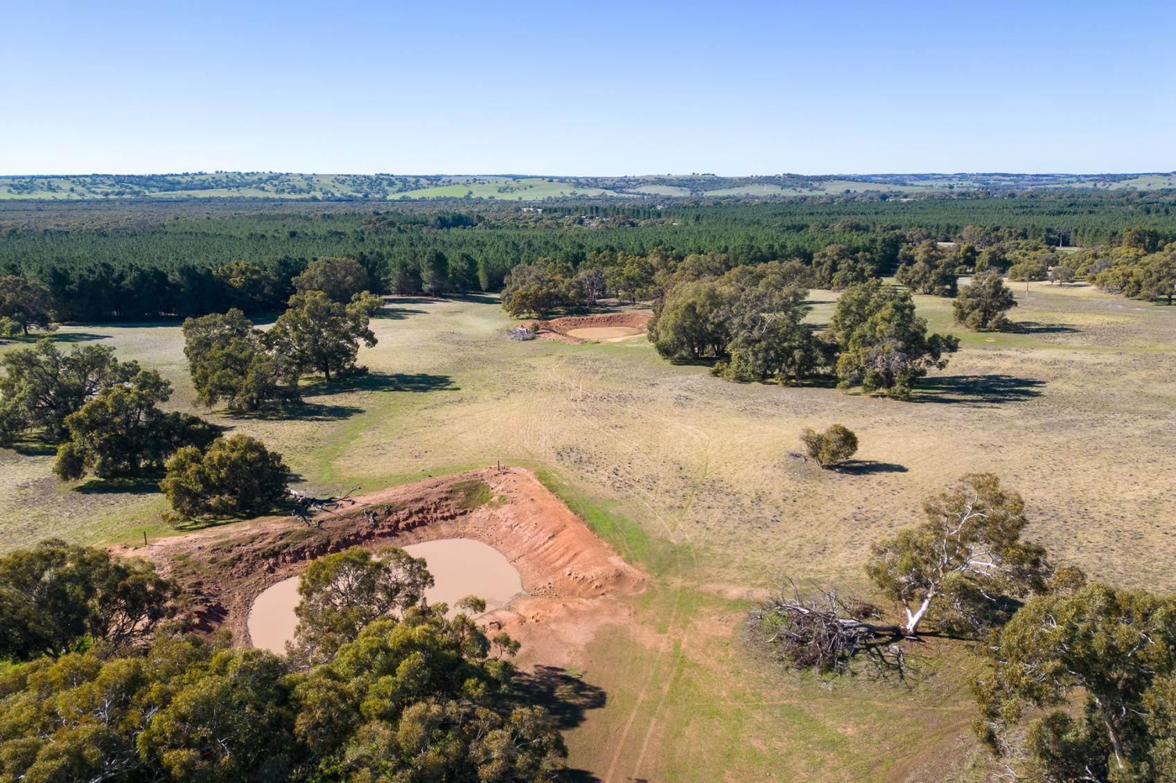 Farm For Sale WA Wheatbelt