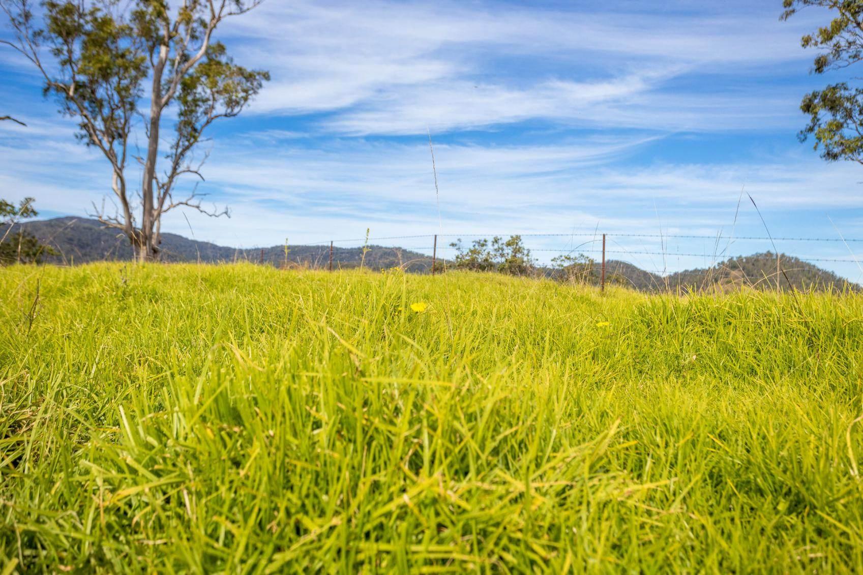 rural Property For Sale NSW