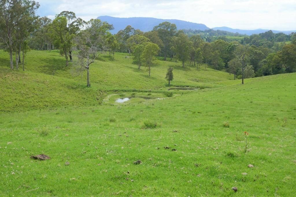 Rural Properties For Sale Kyogle NSW