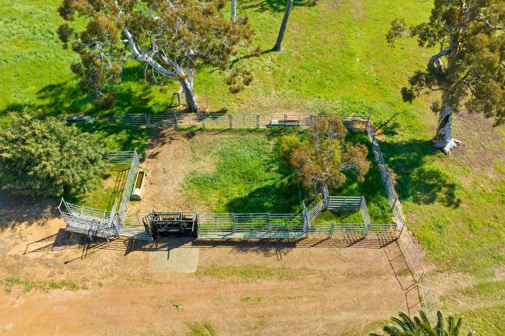 Rural Property For Sale WA 