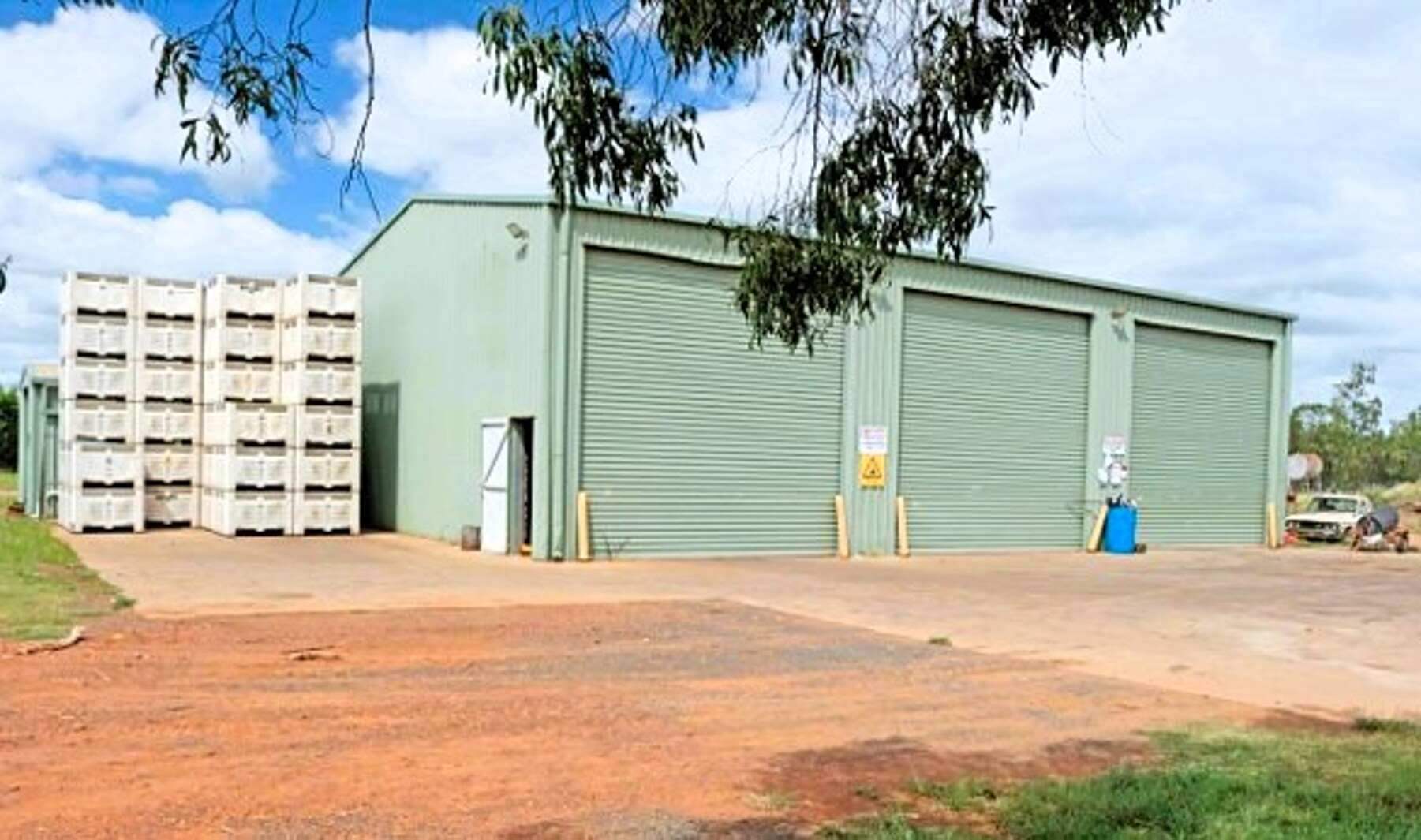 Citrus and Grape Property For Sale QLD