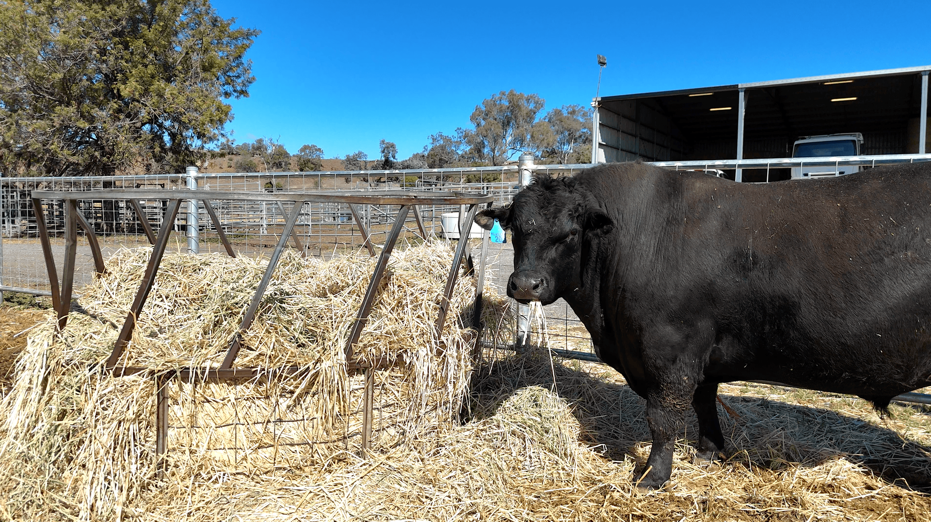 mixed farm for sale QLD