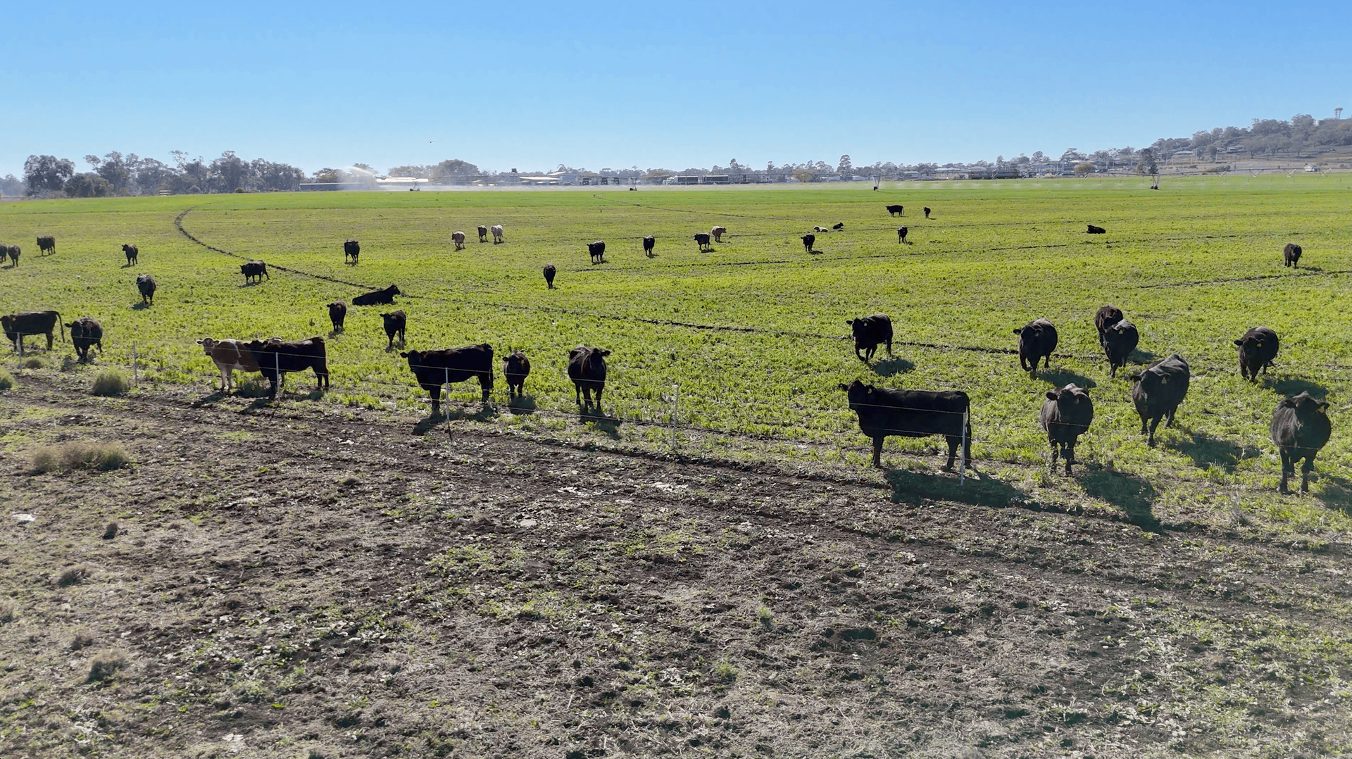 mixed farm for sale QLD