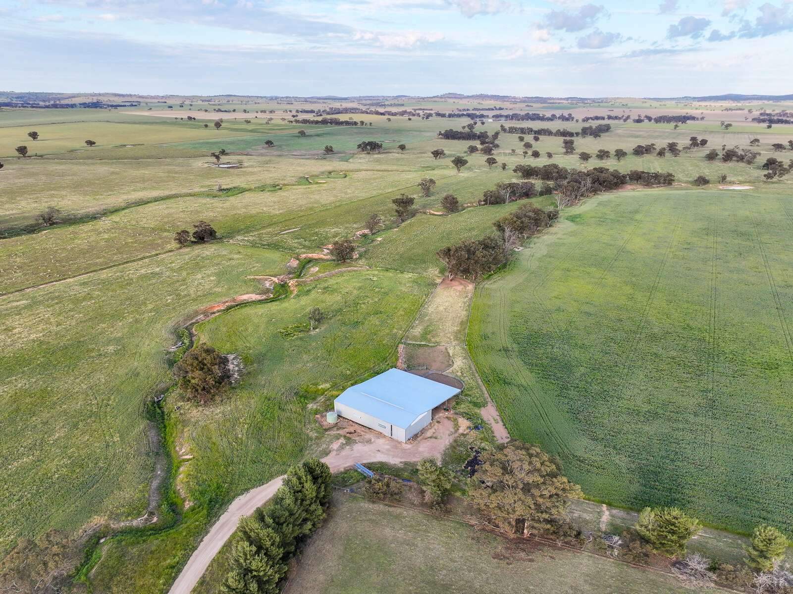 rural property for sale NSW 