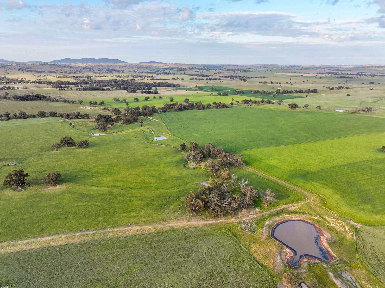 rural property for sale NSW 