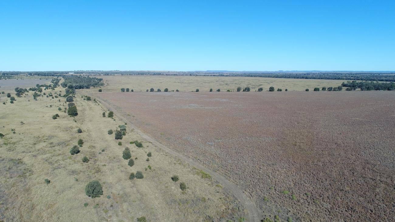 Cattle Property For Sale Qld