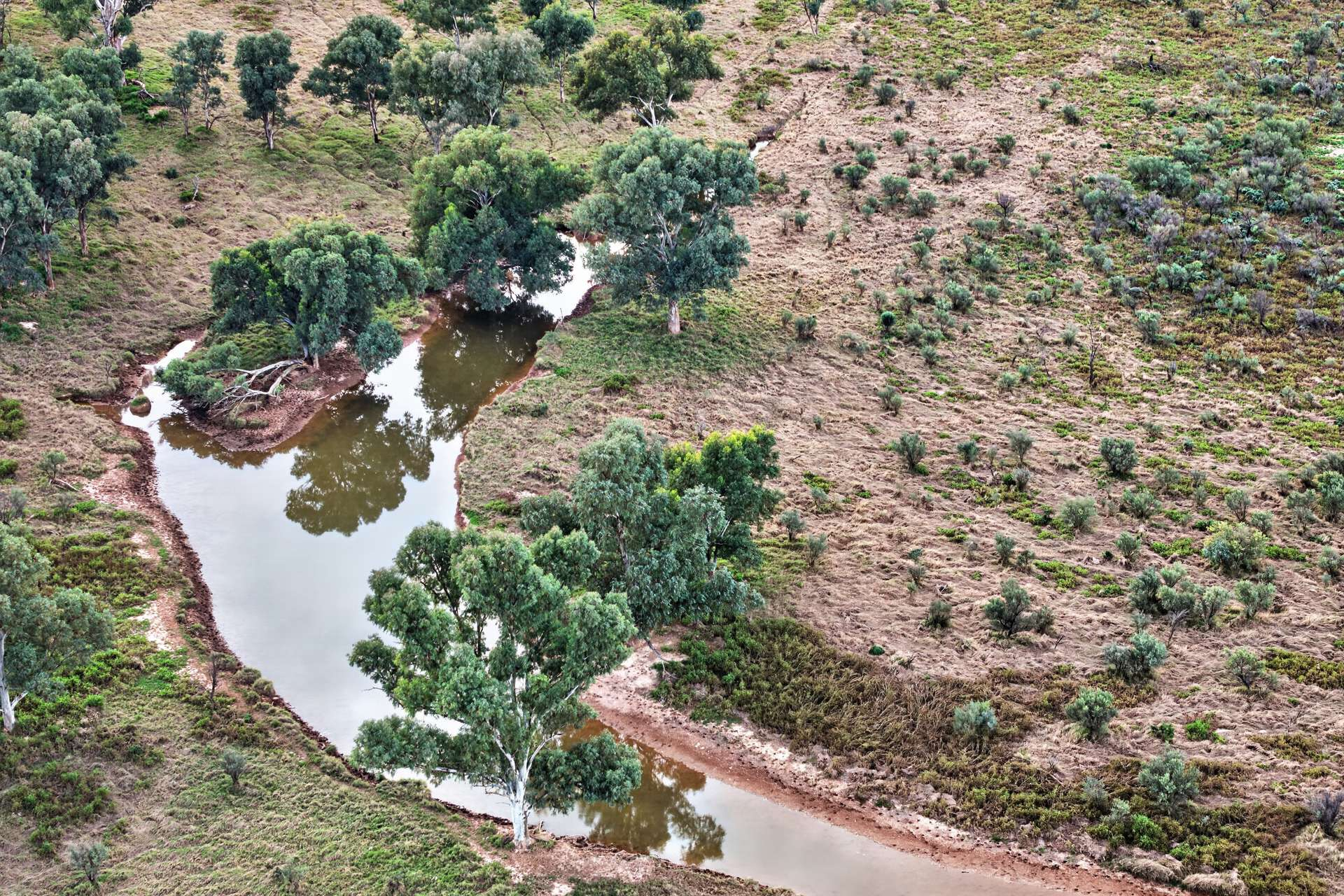 Cattle Station For Sale SA