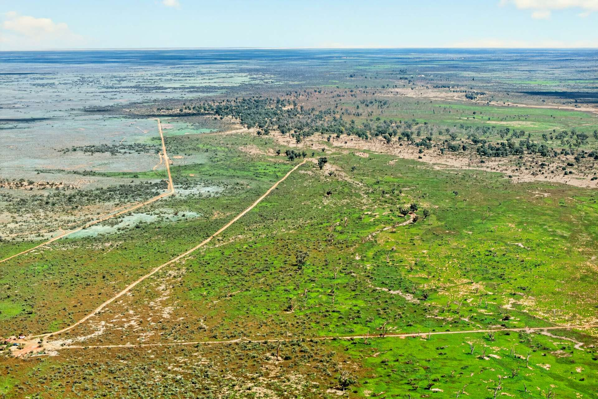 Cattle Station For Sale SA