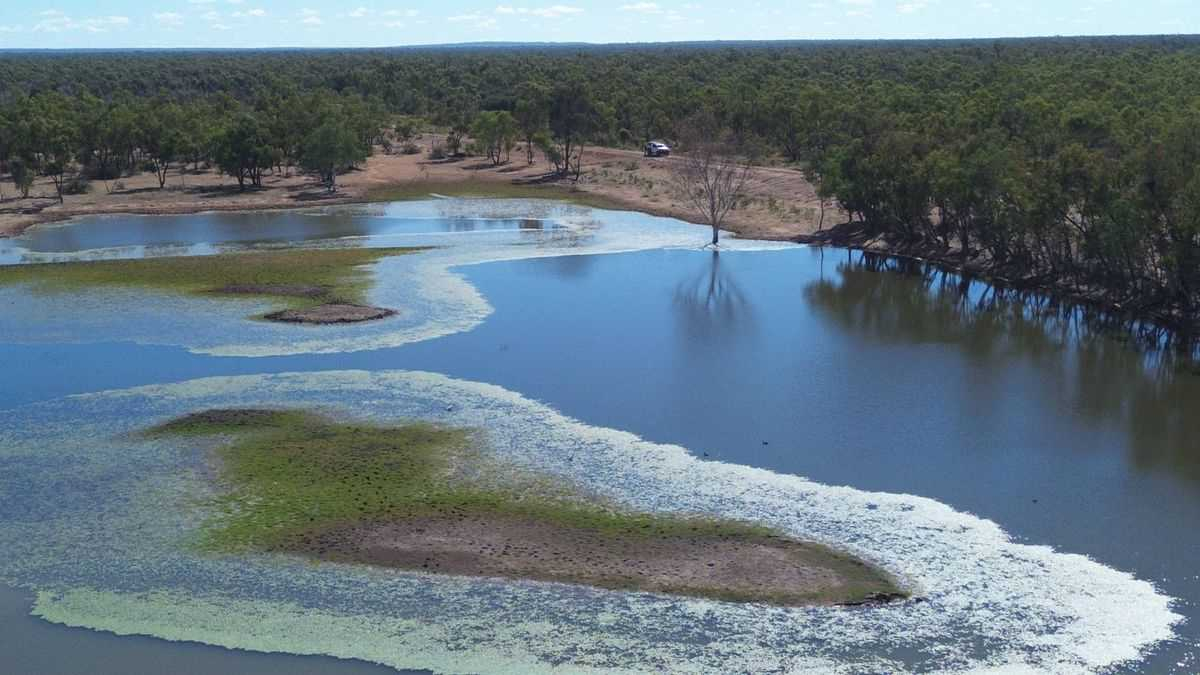 Cattle Property For Sale QLD