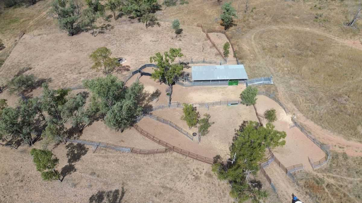 Cattle Property For Sale QLD
