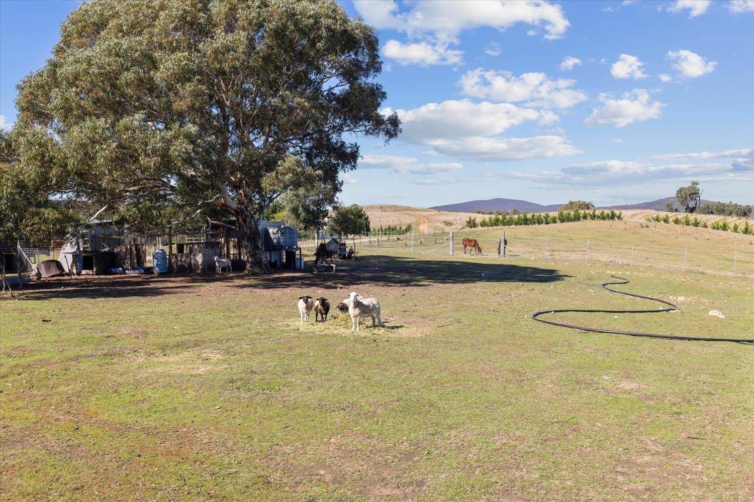 Rural Properties For Sale Goulburn NSW