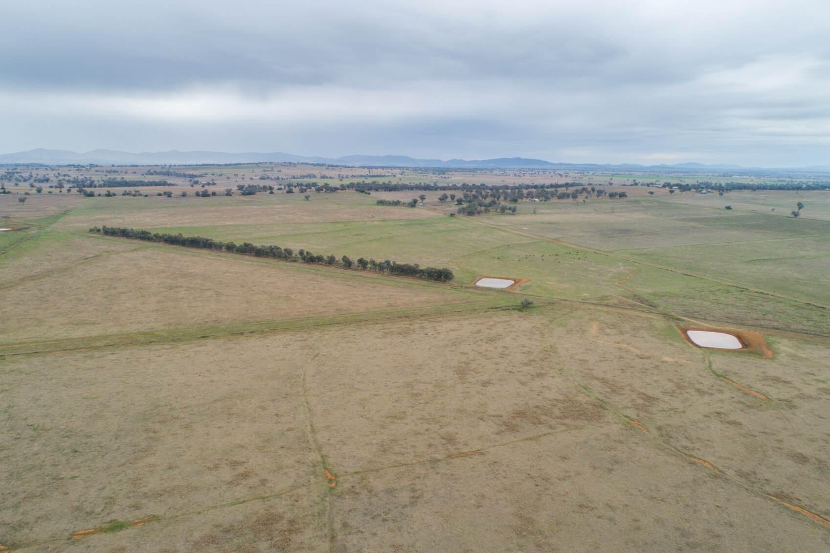 Rural Properties For Sale Tamworth NSW