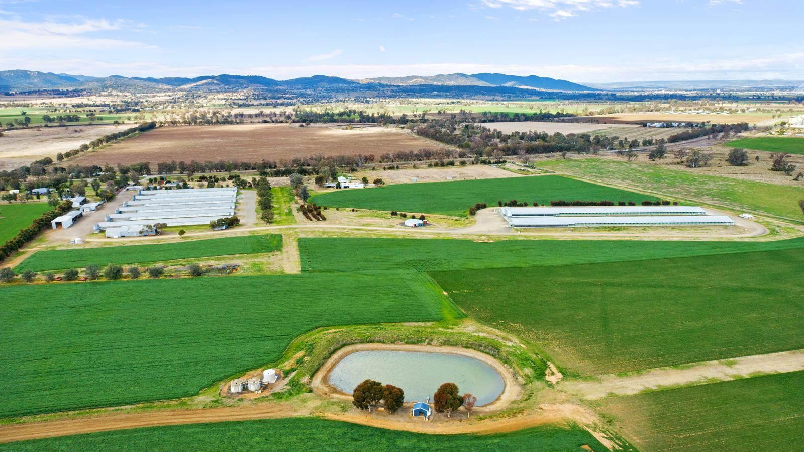 Rural Properties For Sale Tamworth NSW