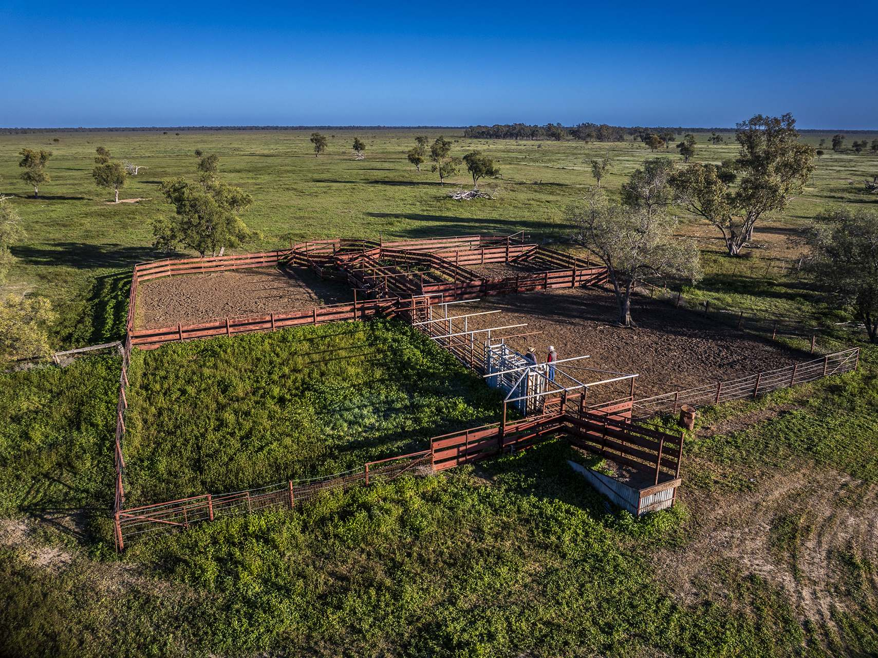 Mixed Farm For Sale NSW