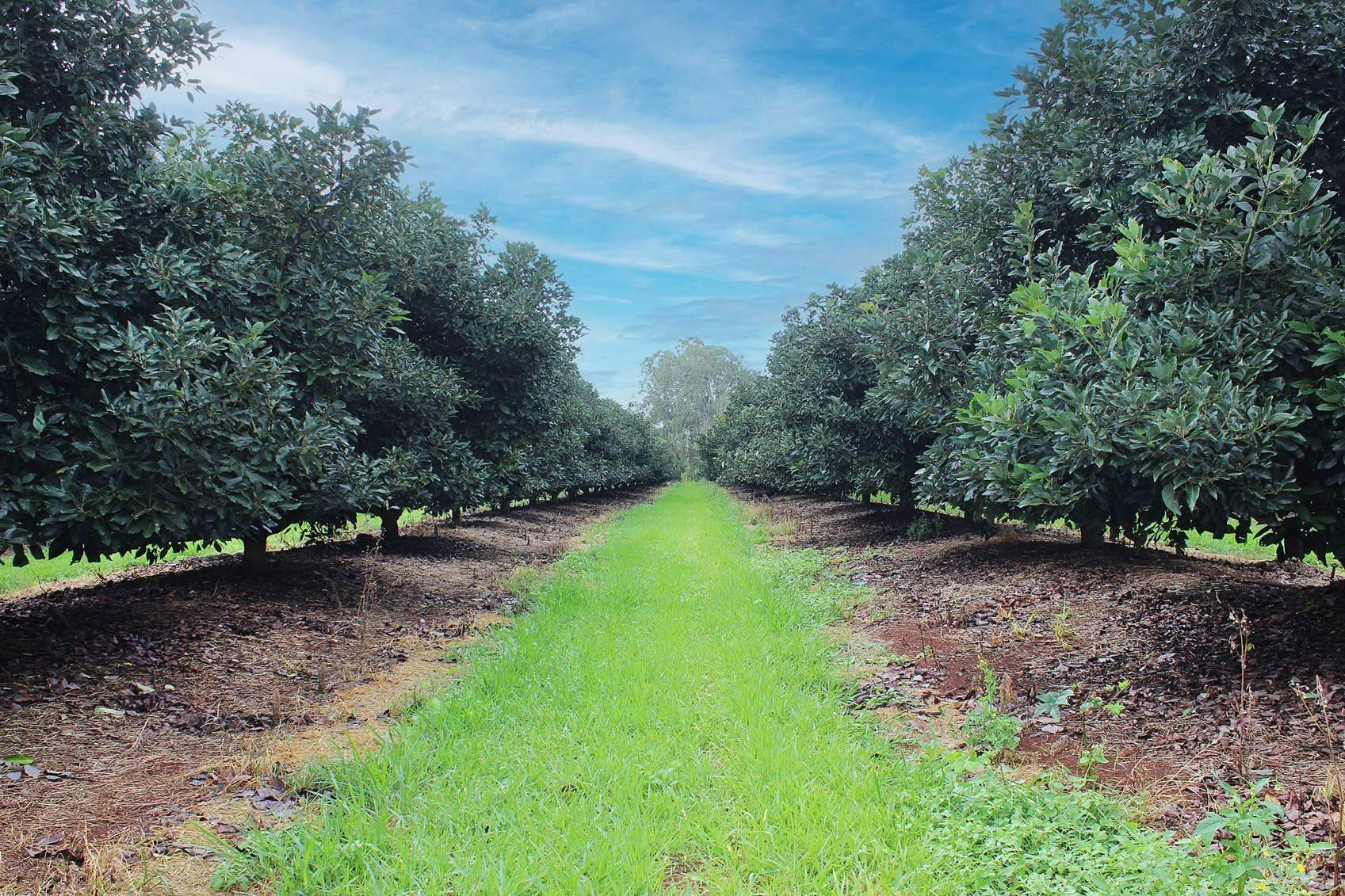 Rural Property For Sale QLD