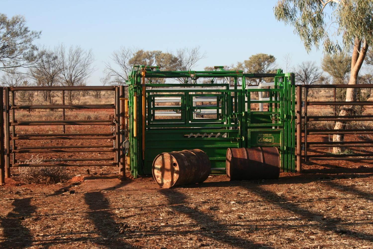 Cattle Property For Sale Queensland