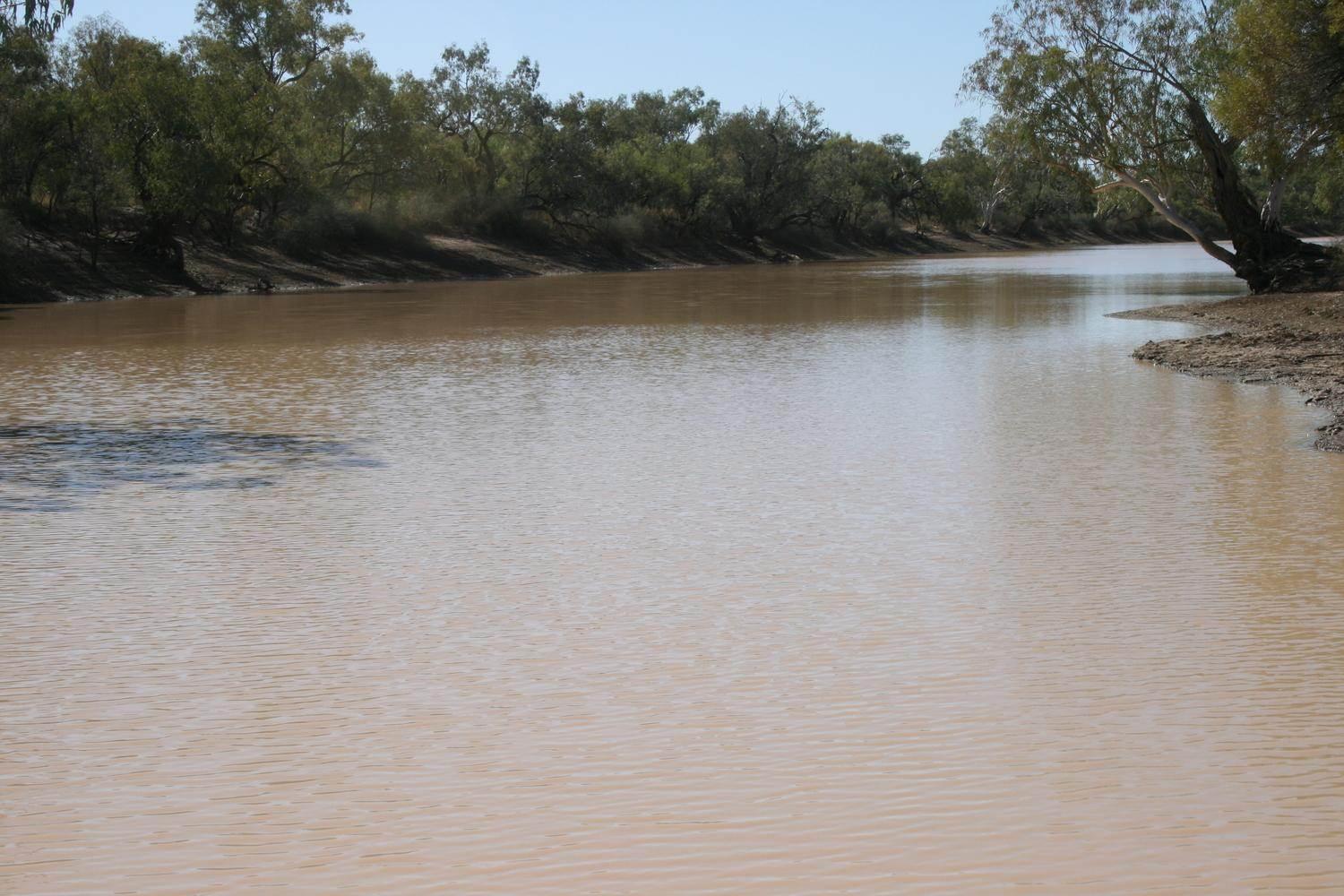 Cattle Property For Sale Queensland