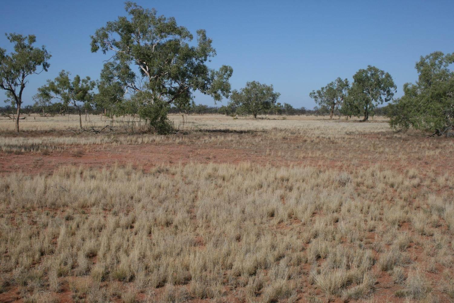 Cattle Property For Sale Queensland