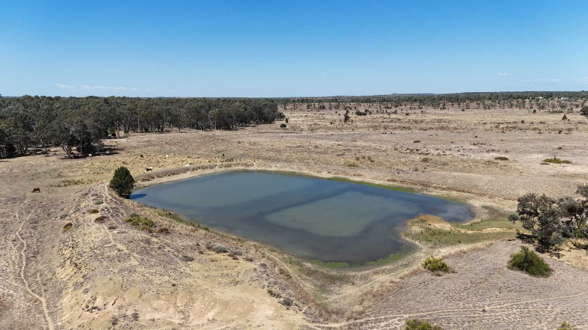 cattle property for sale QLD