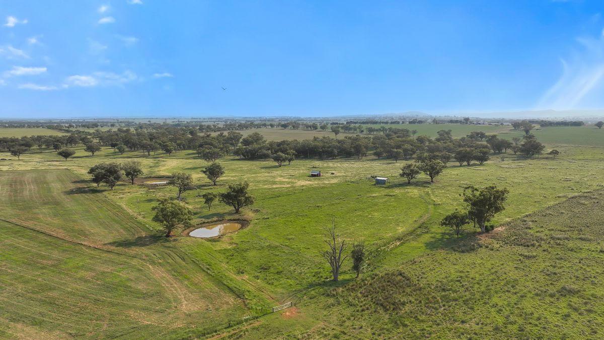 Outstanding Grazing + Cropping Property For Sale Tamworth