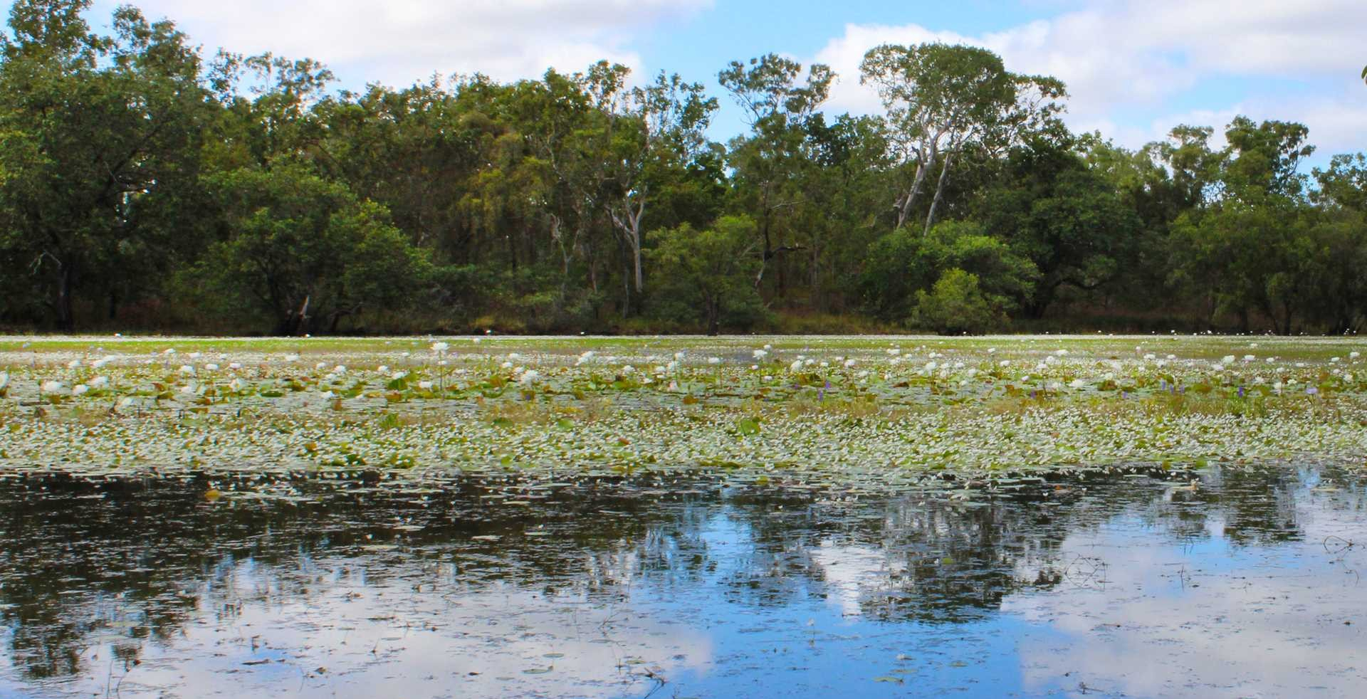 cattle station for sale QLD