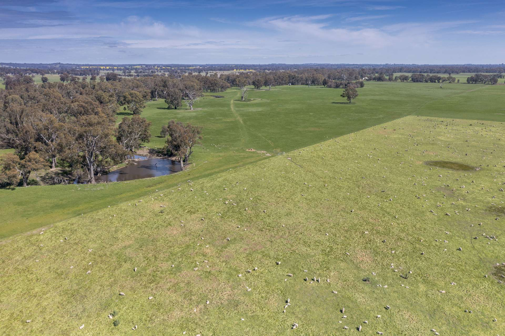 rural property for sale VIC